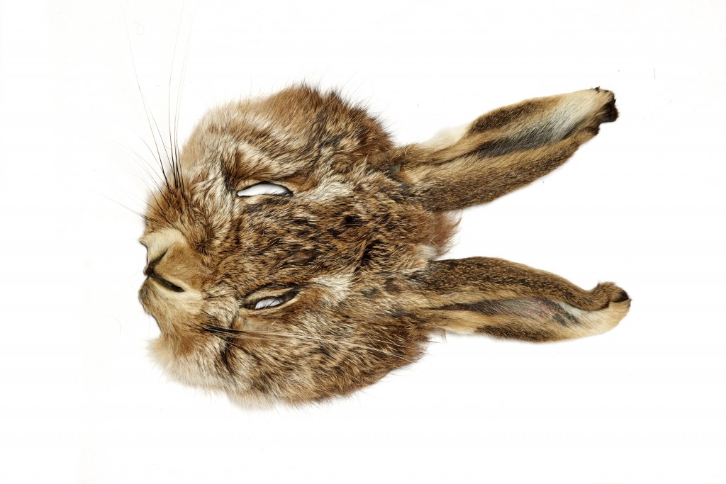 Hare mask