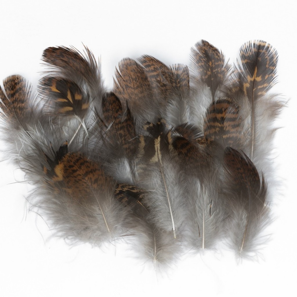 Grouse body plumage 2 gram