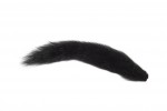 Fox Squirrel Tails