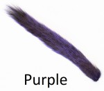 Grey Squirrel tail