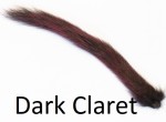 Grey Squirrel tail