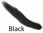 Grey Squirrel tail