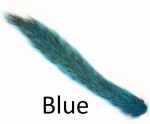 Grey Squirrel tail