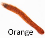 Grey Squirrel tail