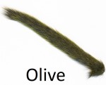 Grey Squirrel tail