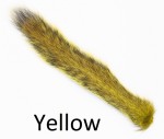 Grey Squirrel tail