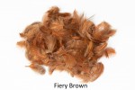 Grey Partridge Neck 