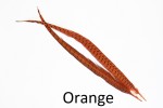 Cock Pheasant Centre Tails