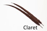 Cock Pheasant Centre Tails