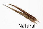 Cock Pheasant Centre Tails
