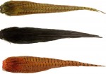 Cock Pheasant Complete Tails