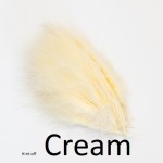 Turkey Marabou Large selected
