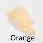 Turkey Marabou Large selected