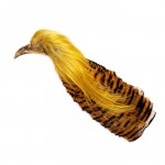 Golden Pheasant No 2 complete head