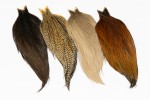 Whiting Hebert Miner Pro Grade Dry Fly Neck