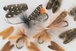 Natural Feather Caddis Wings Black Small Only