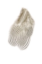 Silver Pheasant body feathers