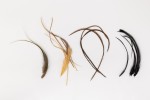 Barry Ord Clarke's Flytyng Material Pack