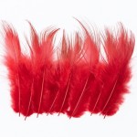 Golden Pheasant Body Feather Substitute