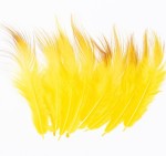 Golden Pheasant Body Feather Substitute