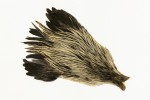 Veniard Genetic Hen Capes - New Colours 2025