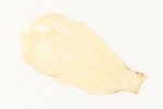 Veniard Genetic Hen Capes - New Colours 2025