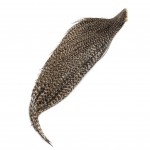 Whiting Cock Necks Half Bronze
