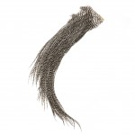 Whiting Half Saddle Bronze